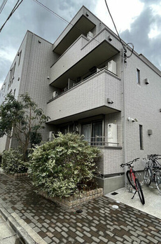 フィカーサ　いちょうの木 