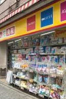 ドミール入谷 