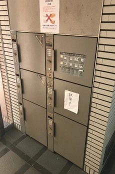 ラフィーネカワムラ 