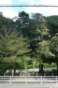 パークヒルズ田園調布 