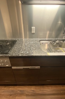 ミレアコート銀座プレミア 