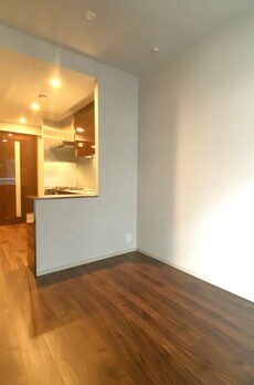 ミレアコート銀座プレミア 