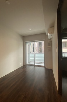 ミレアコート銀座プレミア 