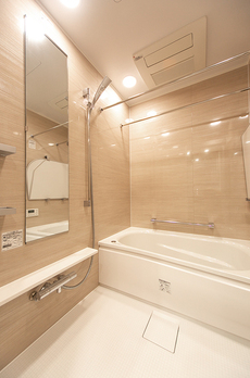 ミレアコート銀座プレミア 