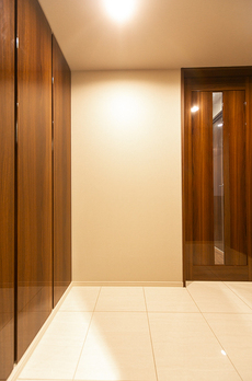 ミレアコート銀座プレミア 