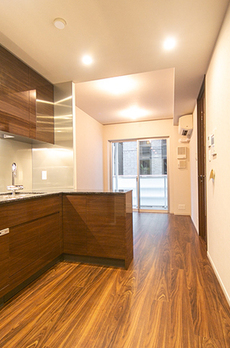 ミレアコート銀座プレミア 