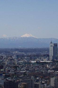 ＨＦ駒沢公園レジデンスＴＯＷＥＲ 