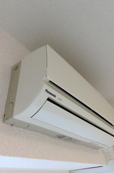 シュールフローレ 