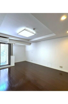 ＺＥＬ　ＣＯＵＲＴ　ＡＯＹＡＭＡ 