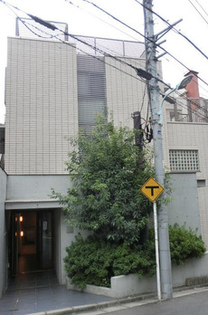 ＺＥＬ　ＣＯＵＲＴ　ＡＯＹＡＭＡ 