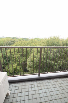藤和シティホームズ六義園 