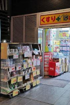 パークタワー勝どきサウス 