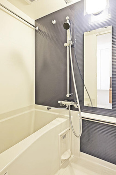 カーサスプレンディッド赤坂７丁目 