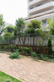 Ｄａｉｗａ　Ｇｒａｃｅ　Ｍａｉｓｏｎ　大島Ⅱ 