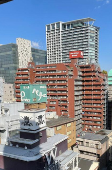 ライオンズプラザ新宿 