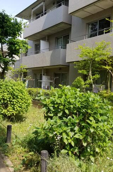 リビエール宮の坂 