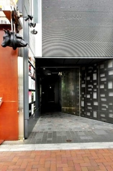 DUPLEX GINZA TOWER 5/13 