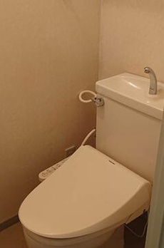 ピュアサクシードとも 
