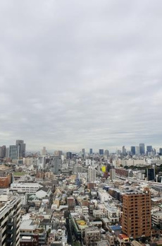 白金タワー 