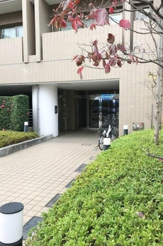 ラフィネ武蔵小山 