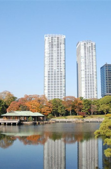 東京ツインパークス レフトウィング 
