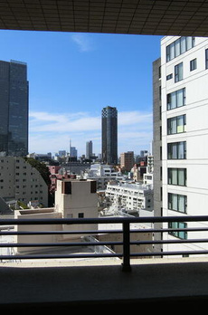 パークハビオ赤坂氷川町 