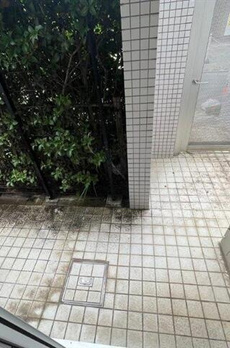 ＹＯＴＳＵＹＡ　ＤＵＰＬＥＸ　Ｄ－Ｒ 