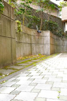 参宮橋マンション 