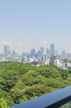 ジオエント白金台 