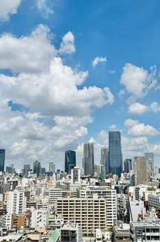 白金ザ・スカイ東棟 