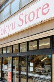 田園調布１丁目戸建 