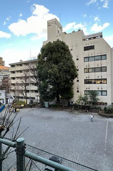 コニファーハウス 