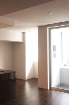 ミレアコート銀座プレミア 