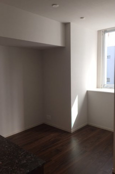 ミレアコート銀座プレミア 