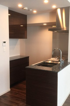 ミレアコート銀座プレミア 