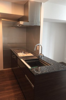 ミレアコート銀座プレミア 