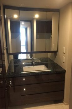 ミレアコート銀座プレミア 