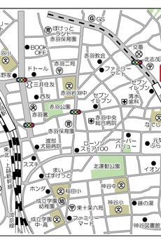 ネオプロミネンス 
