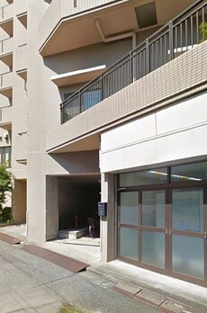 ネオプロミネンス 