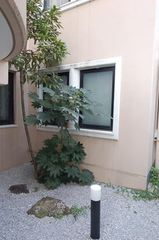 フラッツ都立大 