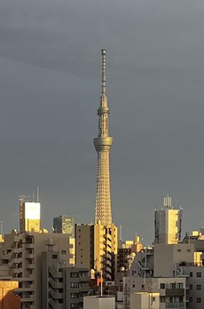 メインステージ入谷Ⅱ 