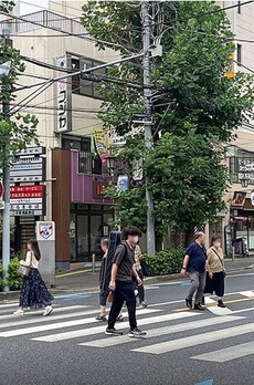 プロキオントーマ 周辺環境