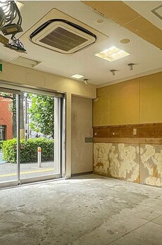 プロキオントーマ 