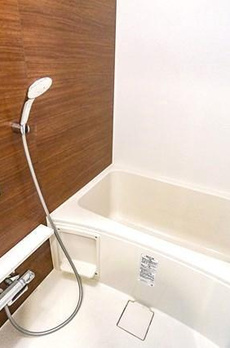 ジェノヴィア本所吾妻橋Ⅱスカイガーデン 