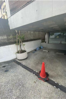 ＰＯＲＴＯ白金長者丸 