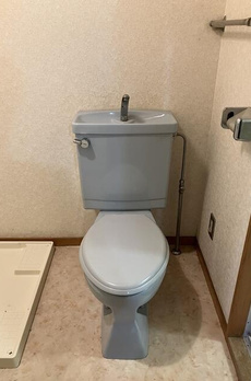 ノアール 