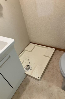 ノアール 