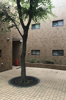 エレガン学芸大学 