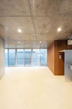 SHINJUKU NEW VILLA 