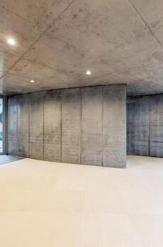 SHINJUKU NEW VILLA 